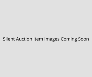 Silent Auction Image Placeholder
